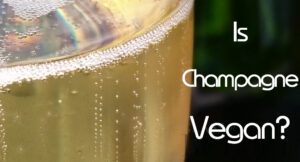 is Champagne vegan