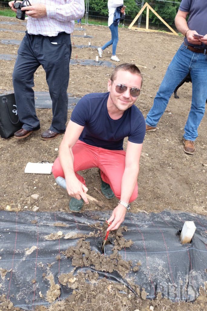 Planting new vines - Jenkyn Place in May 2018