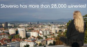 Slovenia has more than 28,000 wineries