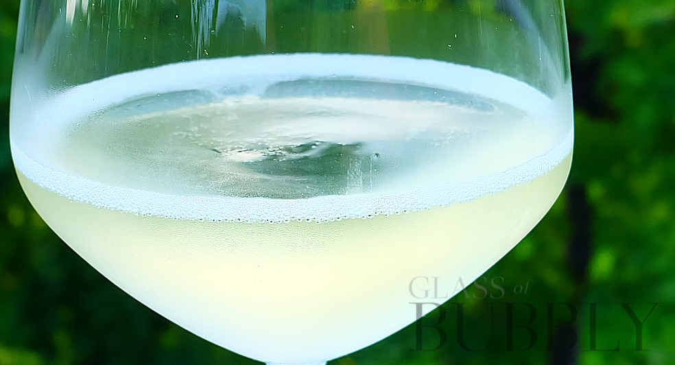 Fresh glass of bubbly vineyard background