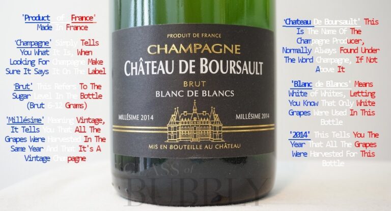 How To Read A Champagne Label – Glass Of Bubbly