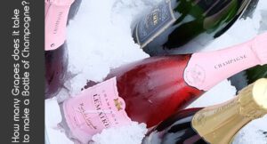 How many grapes does it take to make a bottle of Champagne