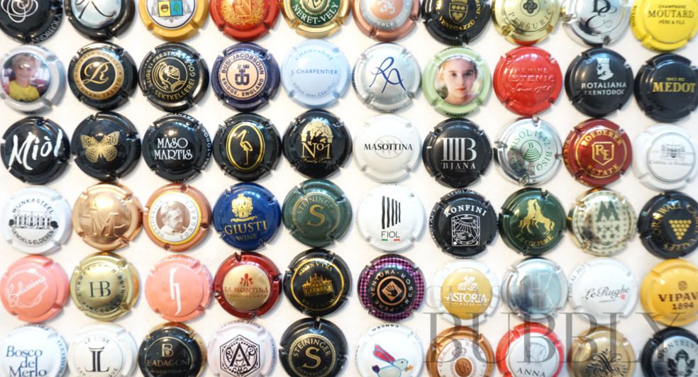 What is Placomusophilia