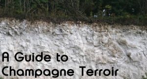 A Guide to Champagne Terroir