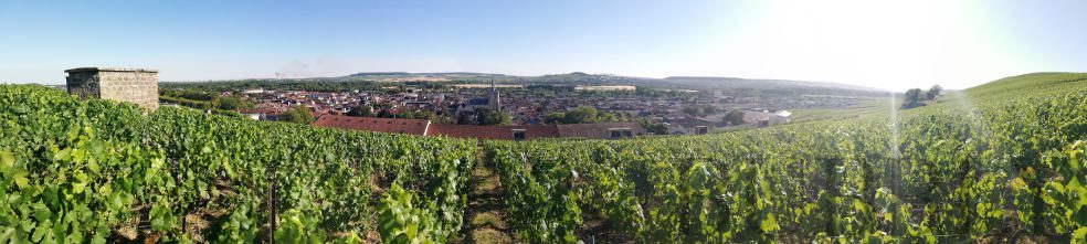 Terroir of the Champagne Grand Cru village of Ay in Vallee de la Marne