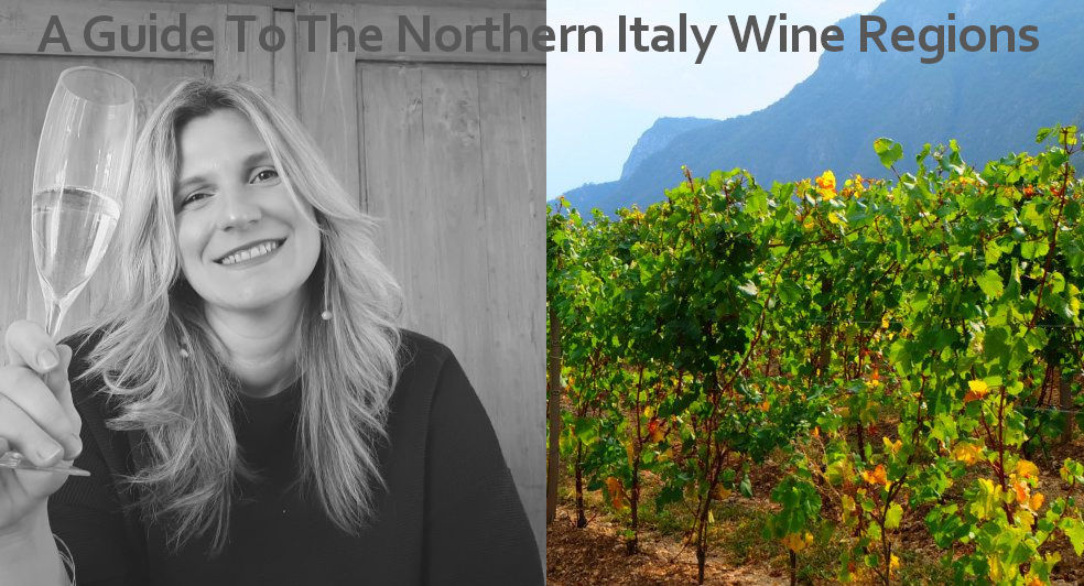 A Guide To The Northern Italy Wine Regions