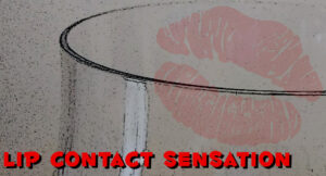 Champagne Glass Arc International