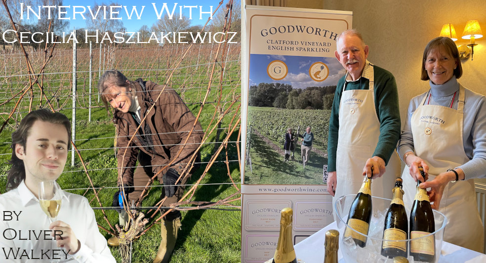 Interview With Cecilia Haszlakiewicz Goodworth Clatford Vineyard
