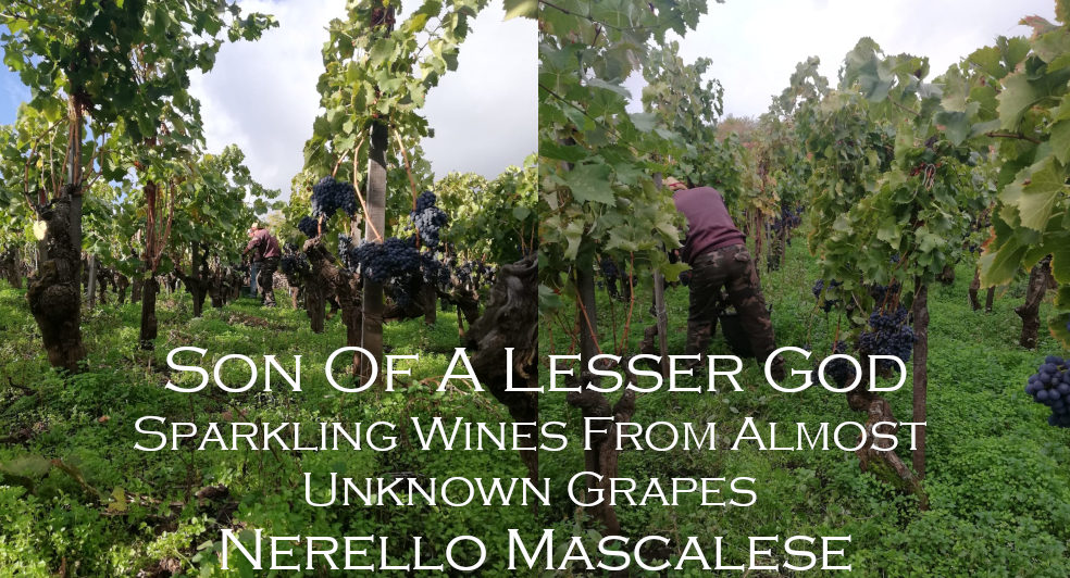 Son Of A Lesser God Sparkling Wines From Almost Unknown Grapes   Son Of A Lesser God Sparkling Wines From Almost Unknown Grapes Nerello Mascalese 