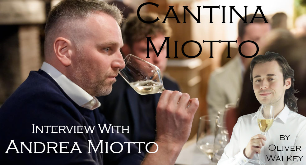 Cantina Miotto Interview With Andrea Miotto
